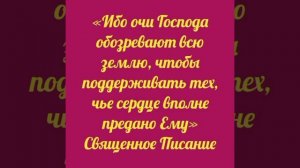 YouCut_20260207_045629472.mp4