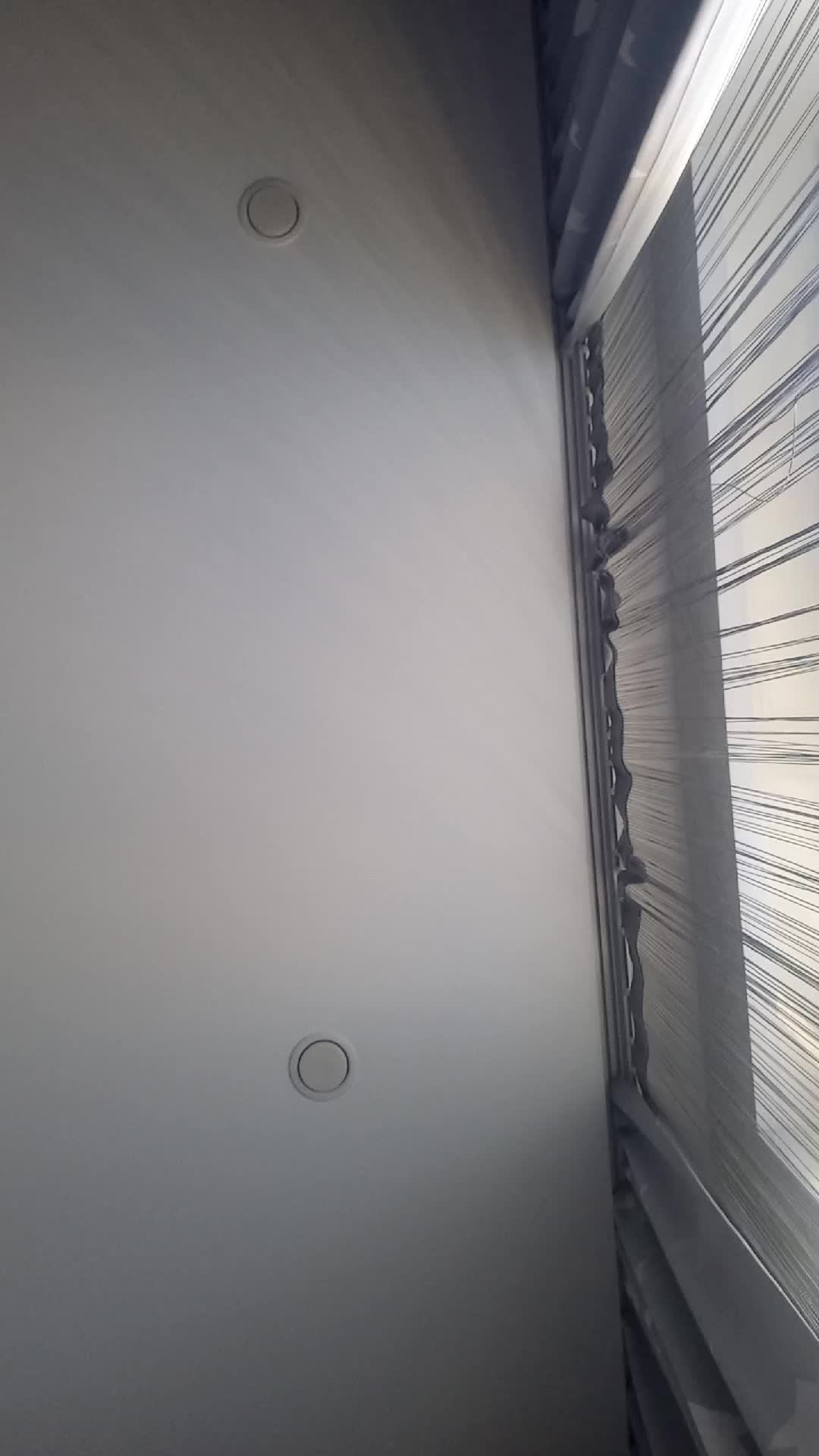 срочно зайди на стрим!!!!!