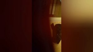 !!!с днём придумания!!!
Андрей возвращение канала