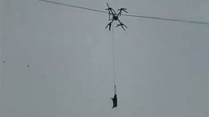 По мотивам «Мимино»: в Китае фермер обесточил всю деревню из-за перевозки свиньи на дроне