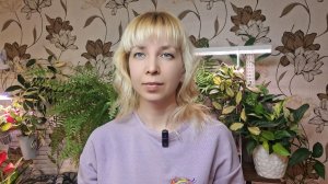 Обзор растений на стеллаже