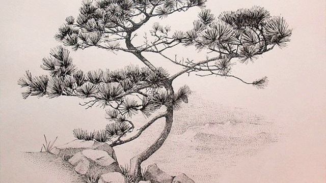 ВЛАДИМИР МЕГРЕ «АНАСТАСИЯ» -г.19