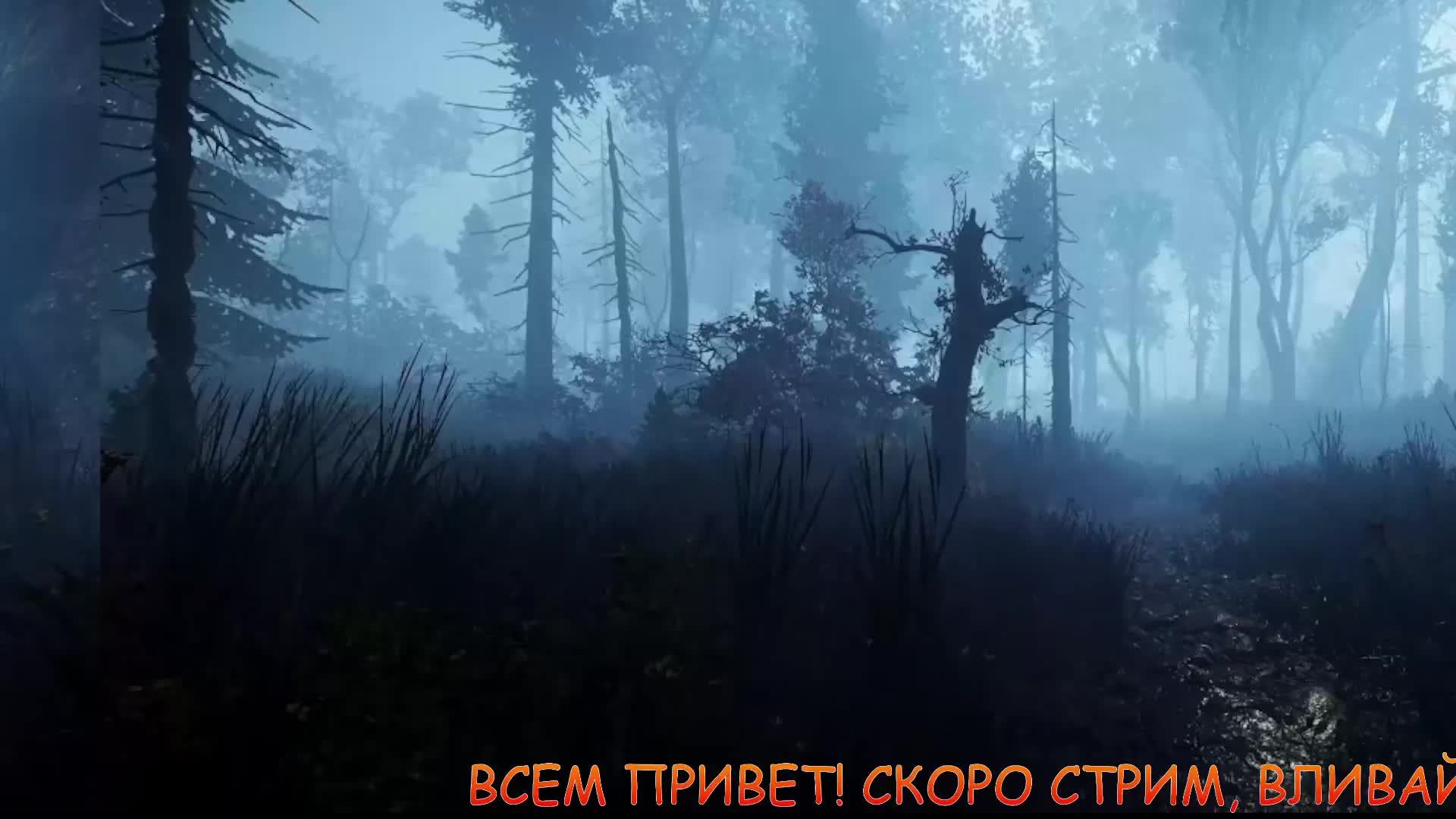 Тест 2 смотреть онлайн