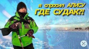 ВАЖНАЯ ЗАКОНОМЕРНОСТЬ - ВЫЯВЛЕНА.НОВЫЙ ПОДХОД К ПОИСКУ СУДАКА БЕЗ PANOPTIX.