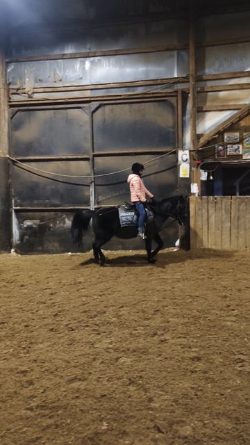 Даша и Наоми, переход с галопа в шаг.