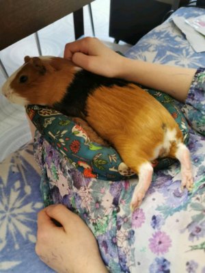 Я варю макароны и ещё что-то