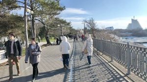 Анапа. Набережная полна людьми! Погода шикардос! 7 февраля 2026.