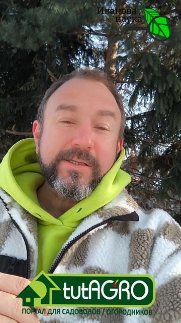 Вот когда мороз — не помощник! На мороз не надейтесь. Вредители выживут. И вот почему.