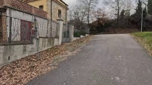 Колобок из Одессы_ В ожидании наступа или позеленевшая энергетика приказала долго жить.