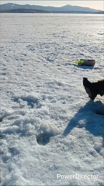 рыбалка#отдых природа