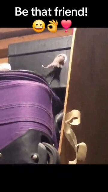 Бро выручит 💪