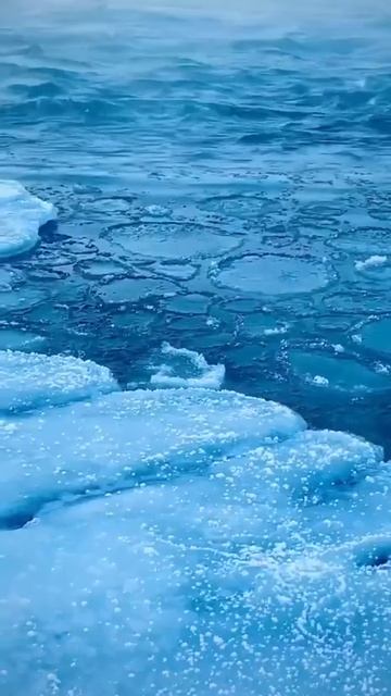 Красота Алтая ⚜️✨🌟✴️☀️💫⭐👑🌞