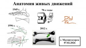 Анатомия живых движений, Киселёв А.В.