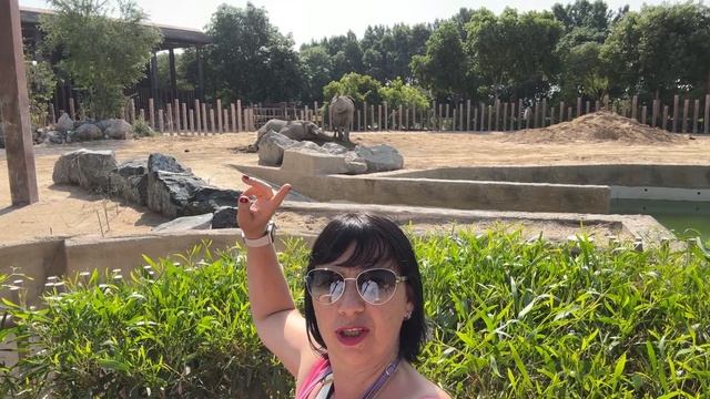 Я и слоны в сафари парке в Дубае