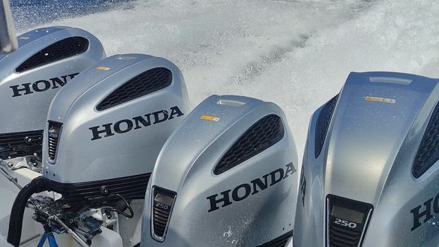 Основные моторы на островах HONDA  и  YAMAHA #ruboats #lordriver #orionboat