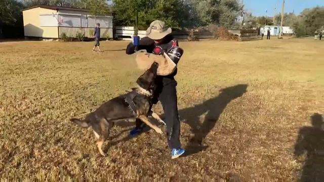 GANSLINGER v. Kayman смотреть онлайн