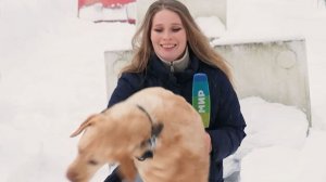 Как собаки помогают людям побороть депрессию и хандру в реабилитационном центре в Липецкой области?