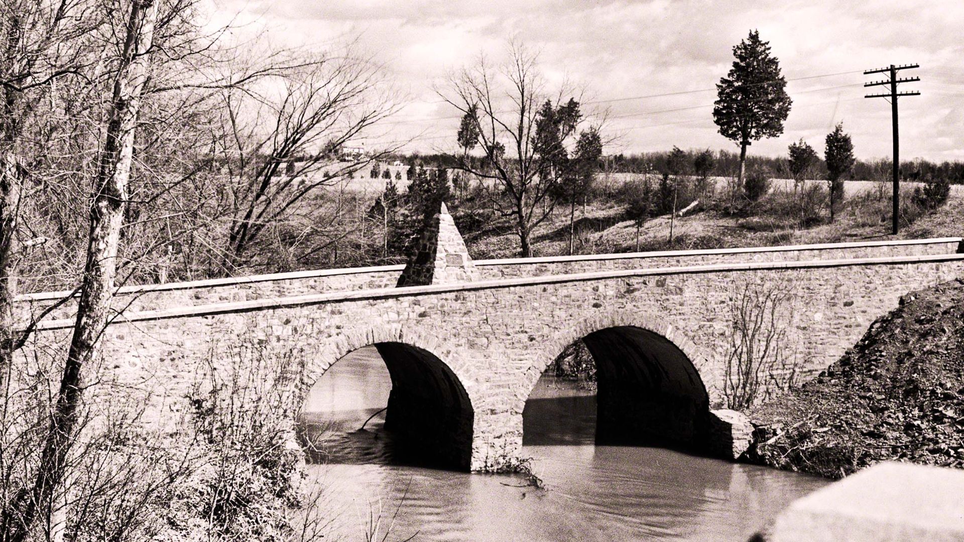 Глобальная Дичь.История метра смотреть онлайн