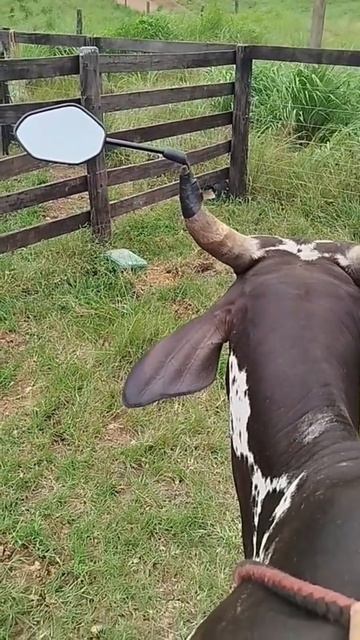 Крутой тюнинг 😎