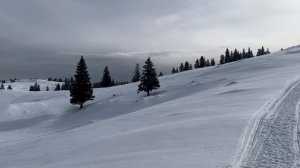 🇸🇮🇸🇮Великая равнина🇸🇮🇸🇮высота 1400 м🇸🇮🇸🇮Словения