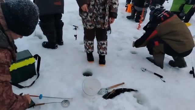 07.02.26 г. РК Волна. смотреть онлайн