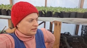 Мороз под 30! Выживаем на хуторе： дрова, теплица и хозяйство