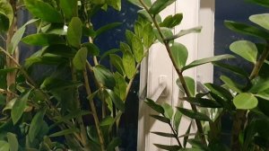 Жизнь - не мёд...