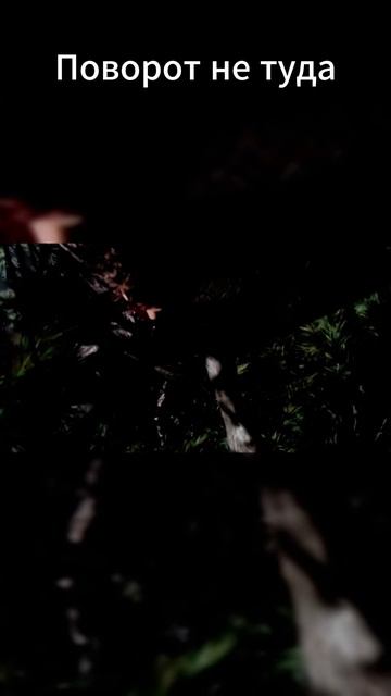 Поворот не туда.