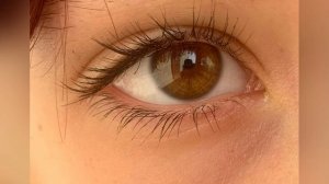 Ты воровка.mp4