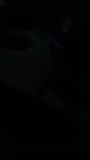 мы жарим шашлык