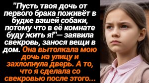 Жизненные Истории/Пусть твоя дочь от первого брака поживет в будке вашей собаки, а в её комнате буду