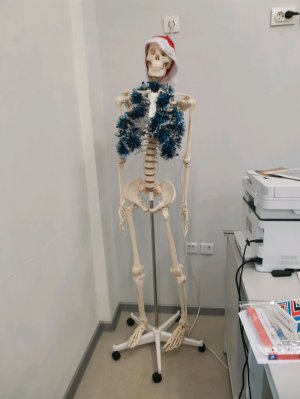 Разговор с зрителями