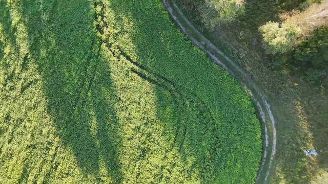 1602.mp4 смотреть онлайн