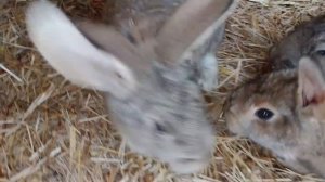 Немножко этого дня