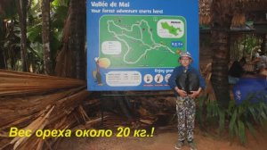 Праслин. заповедник  Сейшельских пальм