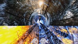 Зимний лес 2!!! Русская народная сказка от Киностудии Мудрого Кота Тимофея!