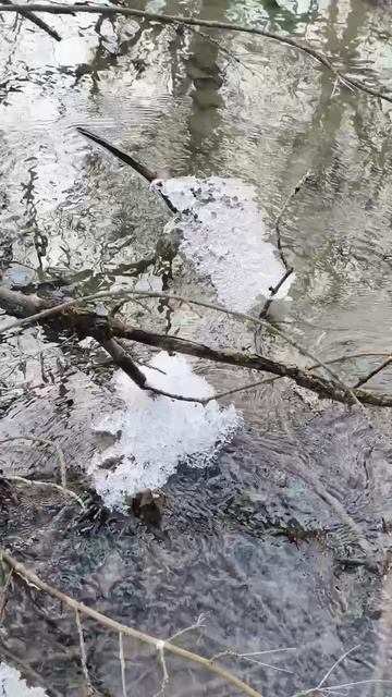 07.02.2026 #сегоднятак #природа #прырода #табиғ #自然 #natureza #natura #자연 #طبيعة #प्रकृति #nature