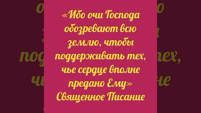 video_11911939429865.mp4