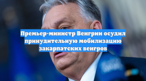 Премьер-министр Венгрии осудил принудительную мобилизацию закарпатских венгров