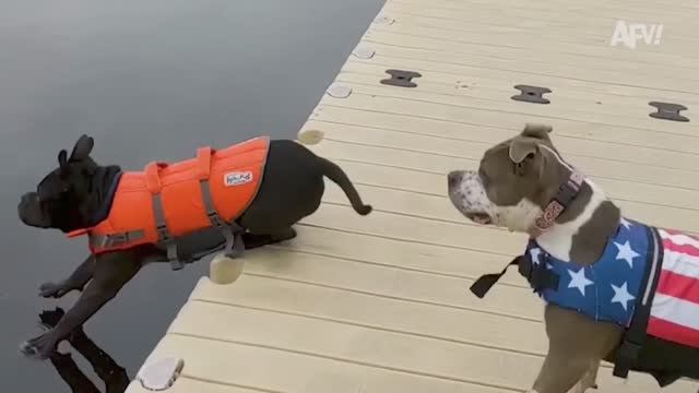 America′s Funniest Home Videos. The Ultimate Try-Hards 🤣 Best Fails of the Week