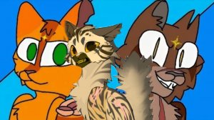 Что будет если коты воители не будут друг друга убивать? (Теория) ?