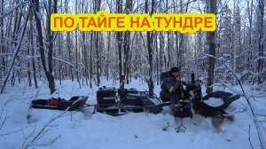 ПРОБИВАЮ ПУТИК К СХРОНУ МЕТАЛЛА! ВЫВОЖУ ИЗ ЗИМНЕГО ЛЕСА ТРАКИ, ТРОСА И ВСЕВОЗМОЖНЫЕ ЗАПЧАСТИ!