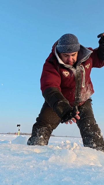 Щукарямбус