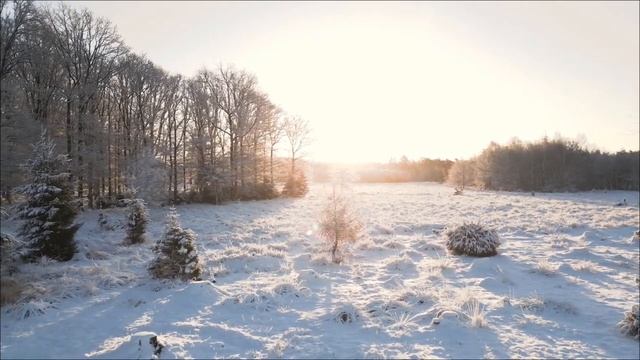 Последняя цифра, которую не замечали. Скрытое Пророчество.