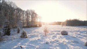 Последняя цифра, которую не замечали. Скрытое Пророчество.