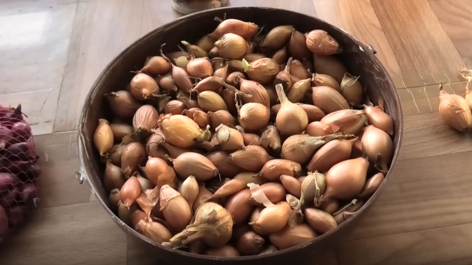 Хранение лука севка