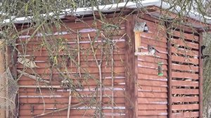 ЛИПОВЫЙ ХУТОР И ВОССТАНОВЛЕНИЕ КУХНИ： РАЗРОДИЛАСЬ НА Г