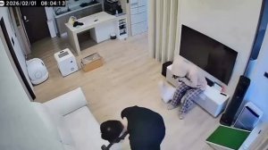 Комнатный торнадо