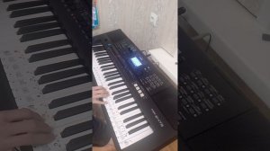 Karol- don't be shay. на синтезаторе yamaha psr e473.