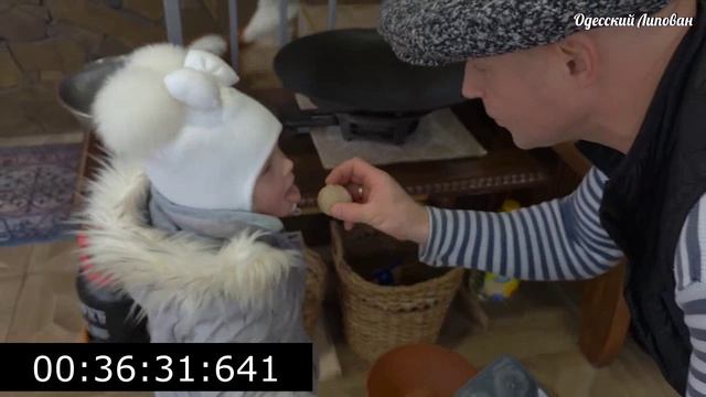 ШКМЕРУЛИ - ЧКМЕРУЛИ / Грузинский рецепт сочной курицы в соусе смотреть онлайн